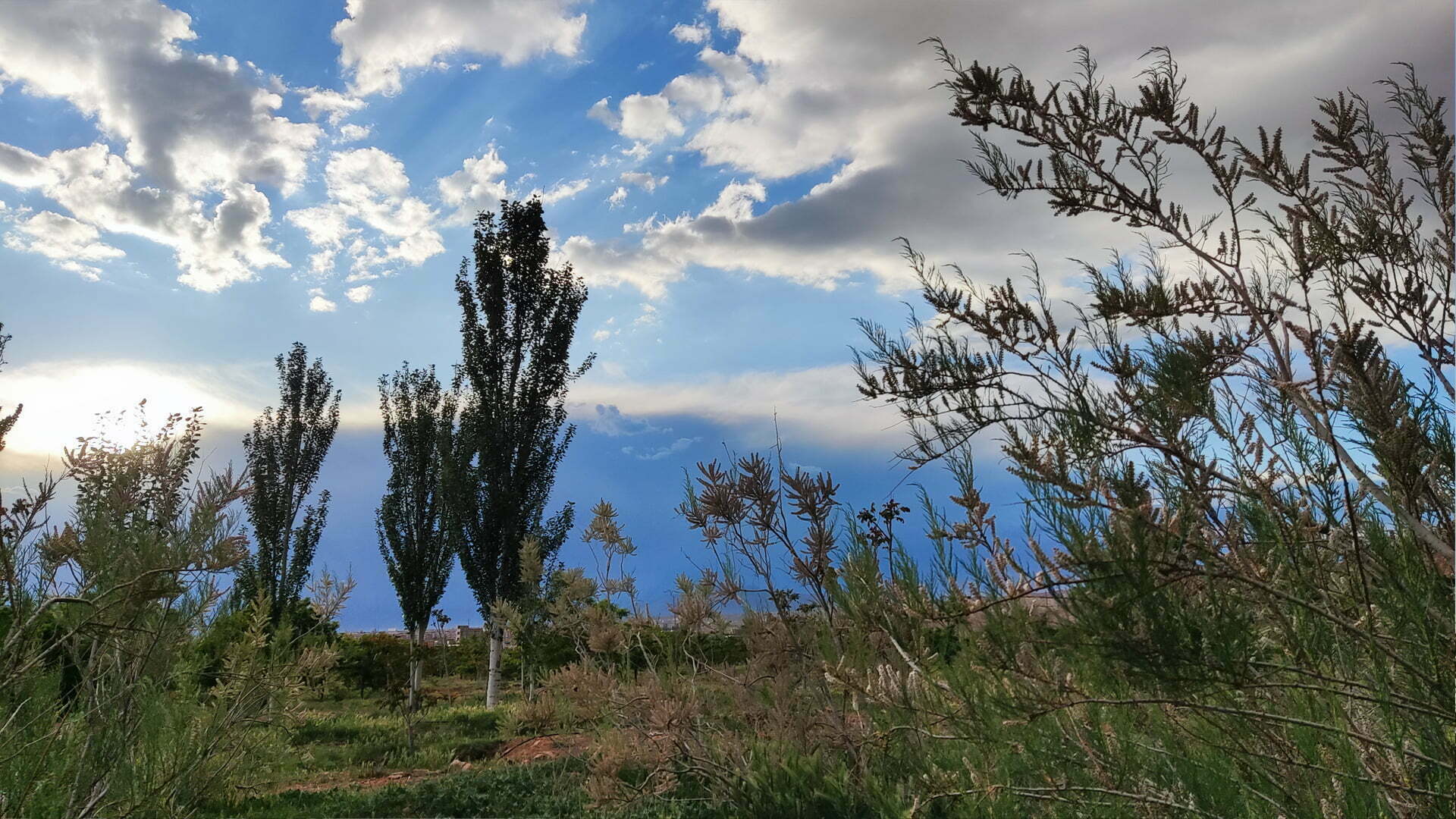 منظر بی‌نظیر جواد