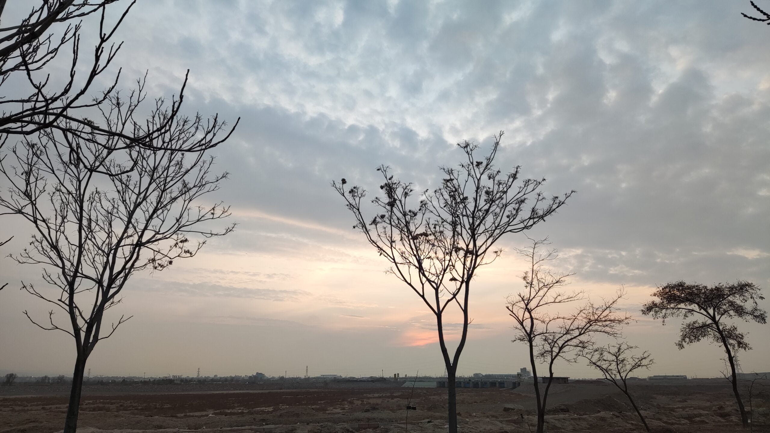 اوج رسیدگی و شیرینی علم